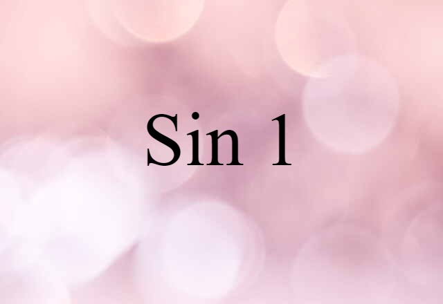 Sin 1 (noun) Definition, Meaning & Examples