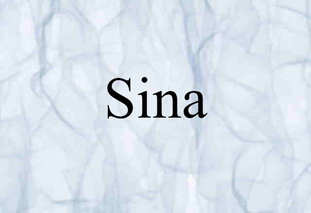 Sina (noun) Definition, Meaning & Examples