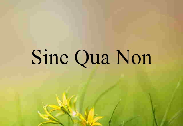 sine qua non