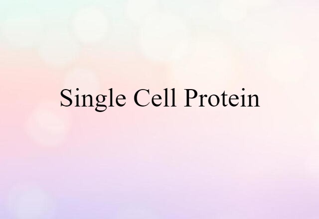 single-cell protein