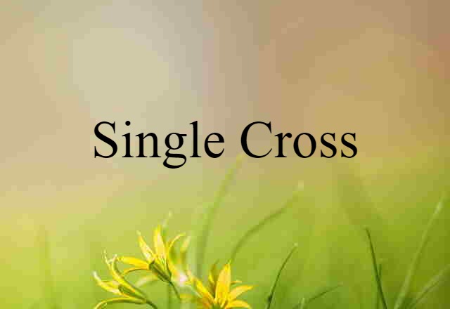 Single Cross (noun) Definition, Meaning & Examples