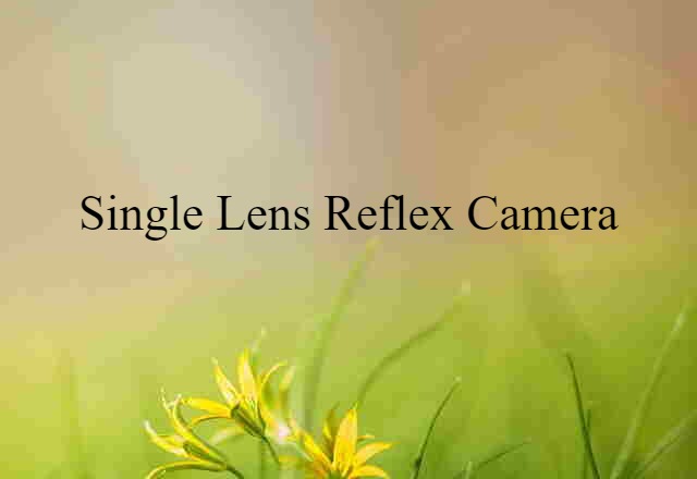 single lens reflex camera