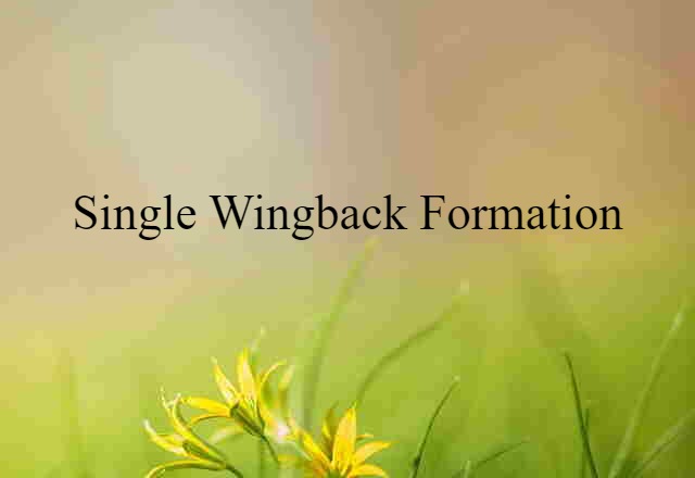 single wingback formation