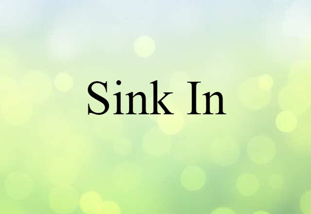 Sink In (noun) Definition, Meaning & Examples