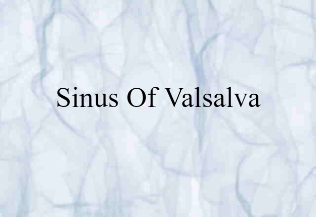 Sinus of Valsalva