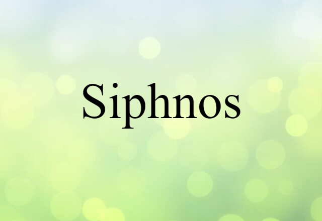 Siphnos (noun) Definition, Meaning & Examples