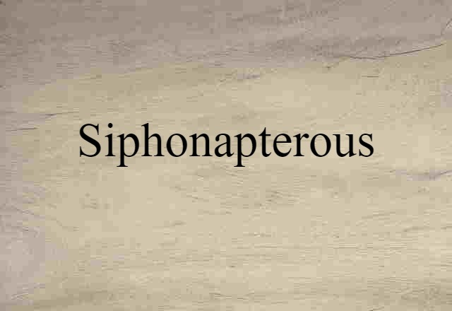 siphonapterous