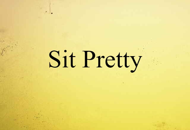 Sit Pretty (noun) Definition, Meaning & Examples