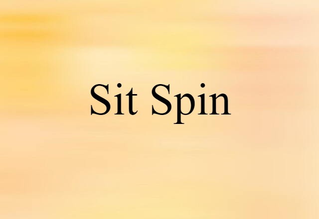 Sit Spin (noun) Definition, Meaning & Examples