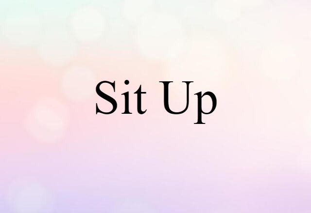 Sit Up (noun) Definition, Meaning & Examples