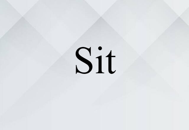 Sit (noun) Definition, Meaning & Examples