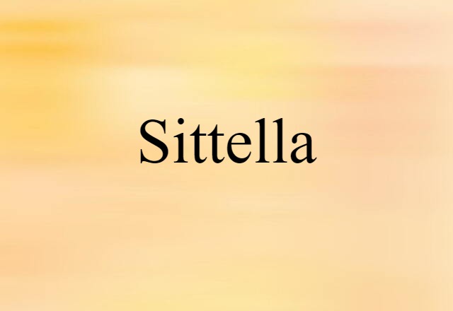 Sittella (noun) Definition, Meaning & Examples