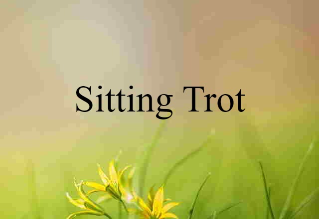 Sitting Trot (noun) Definition, Meaning & Examples