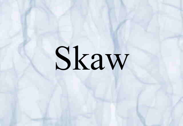 Skaw (noun) Definition, Meaning & Examples