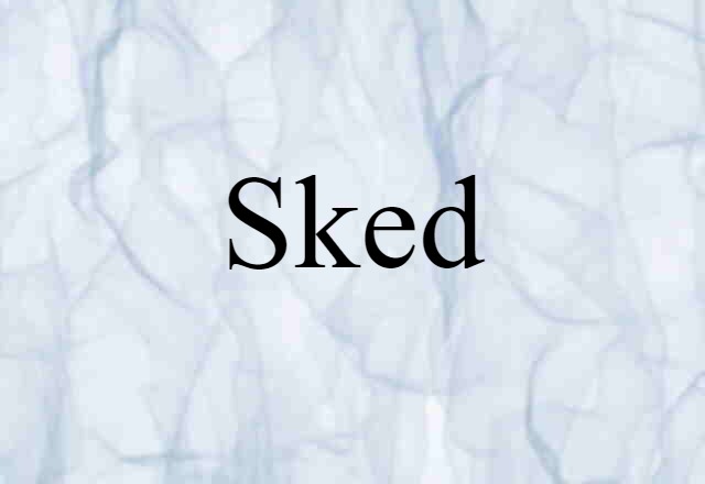 Sked (noun) Definition, Meaning & Examples