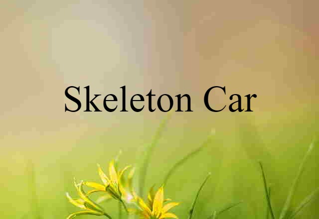 Skeleton Car (noun) Definition, Meaning & Examples