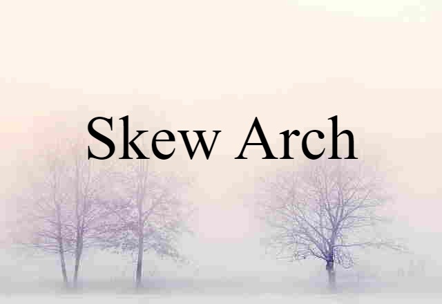 Skew Arch (noun) Definition, Meaning & Examples