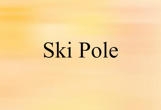 Ski Pole (noun) Definition, Meaning & Examples