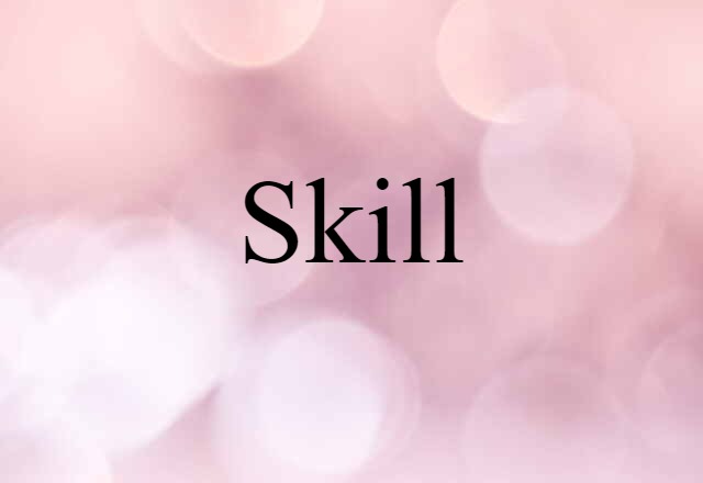 Skill (noun) Definition, Meaning & Examples