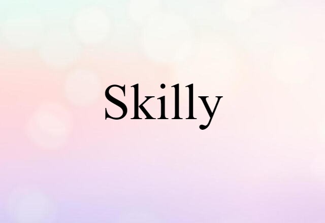 Skilly (noun) Definition, Meaning & Examples