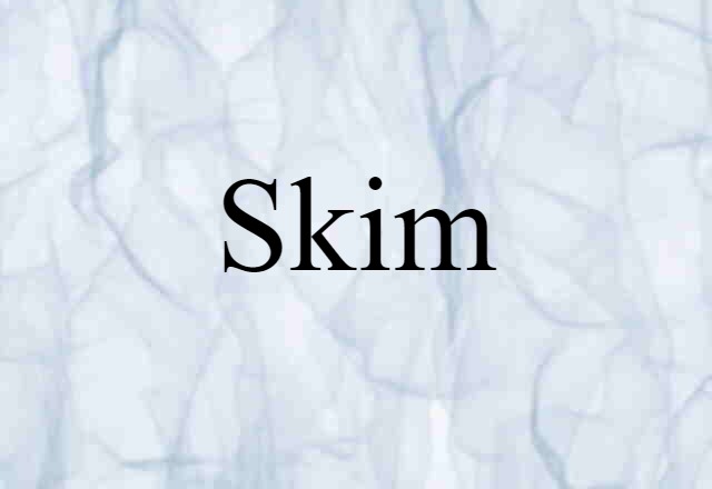 Skim (noun) Definition, Meaning & Examples