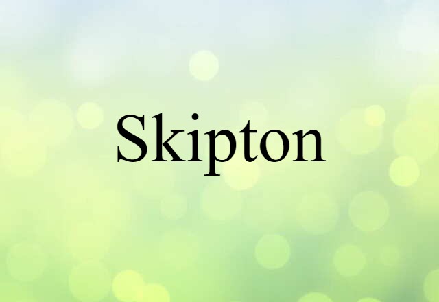 Skipton (noun) Definition, Meaning & Examples