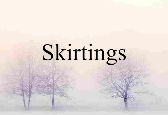 Skirtings (noun) Definition, Meaning & Examples