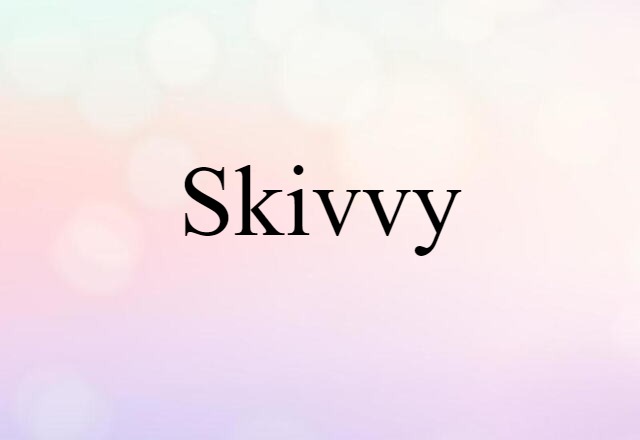 skivvy