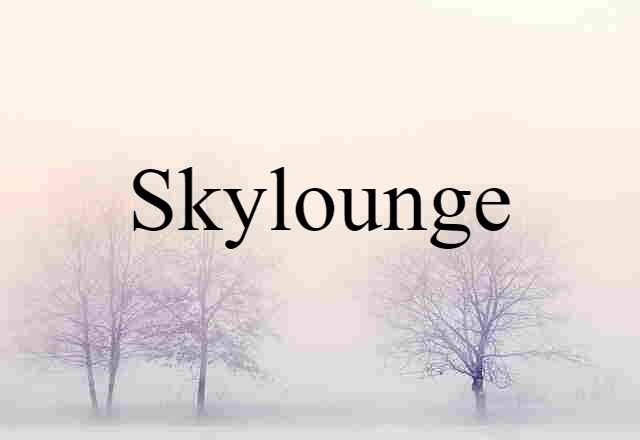 Skylounge (noun) Definition, Meaning & Examples