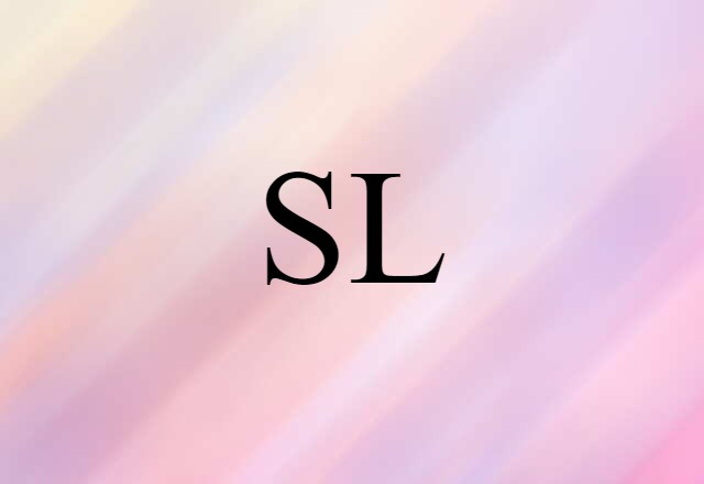 SL (noun) Definition, Meaning & Examples