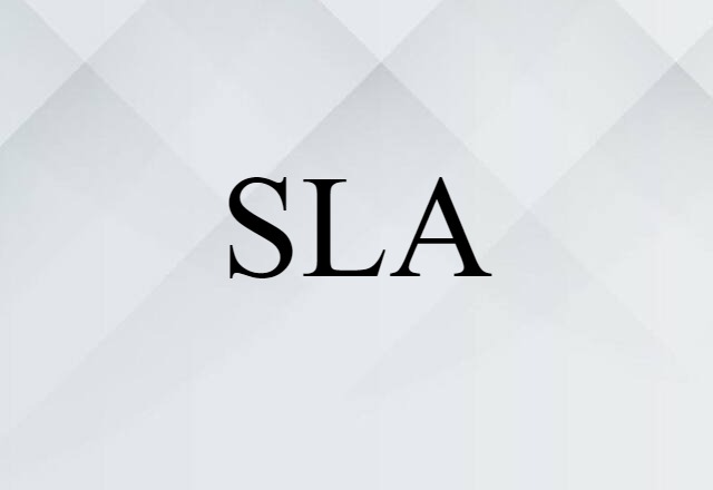 SLA (noun) Definition, Meaning & Examples