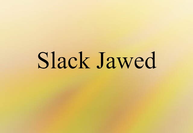 Slack-jawed (noun) Definition, Meaning & Examples