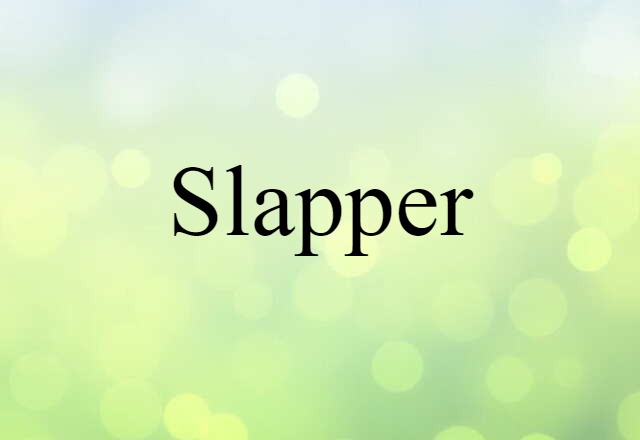 Slapper (noun) Definition, Meaning & Examples