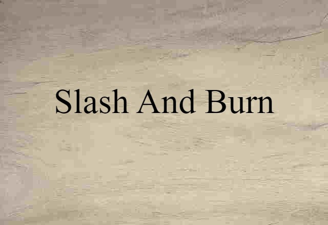 Slash And Burn (noun) Definition, Meaning & Examples