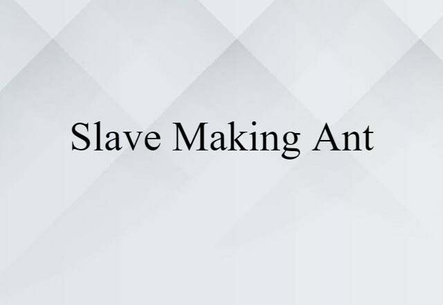 slave making ant