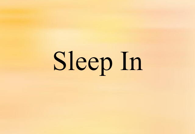 Sleep-in (noun) Definition, Meaning & Examples