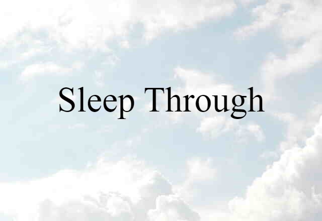 Sleep Through (noun) Definition, Meaning & Examples