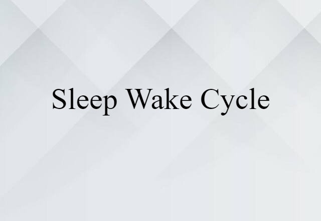 Sleep-wake Cycle (noun) Definition, Meaning & Examples