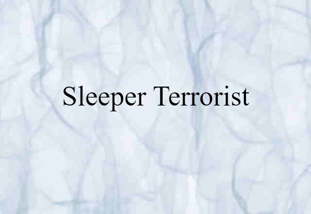 Sleeper Terrorist (noun) Definition, Meaning & Examples