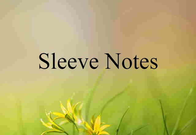 Sleeve Notes (noun) Definition, Meaning & Examples