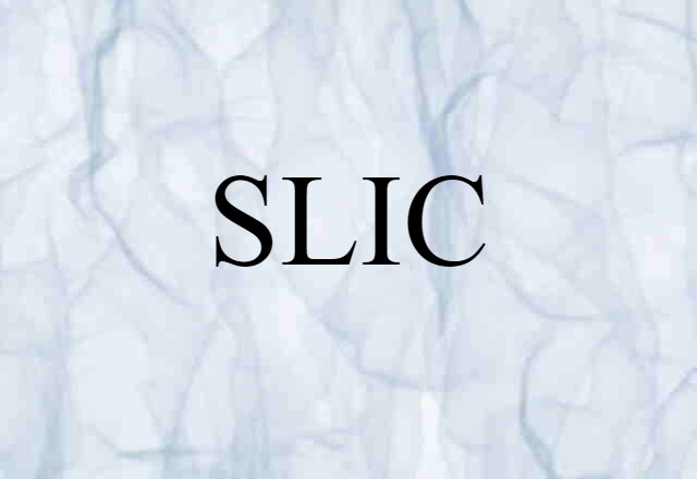 SLIC (noun) Definition, Meaning & Examples