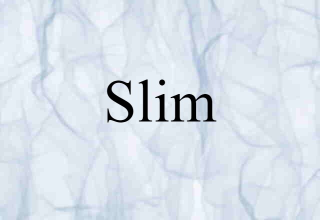 Slim (noun) Definition, Meaning & Examples