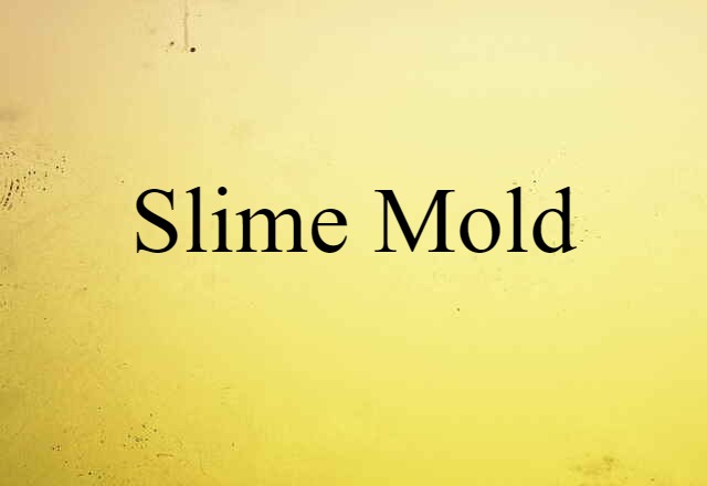 Slime Mold (noun) Definition, Meaning & Examples