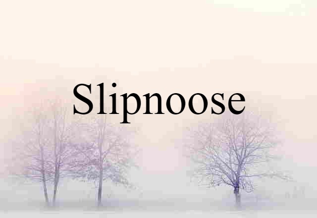 slipnoose