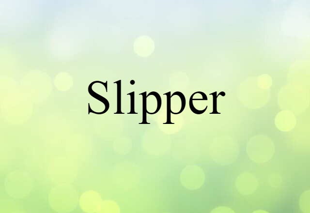 Slipper (noun) Definition, Meaning & Examples