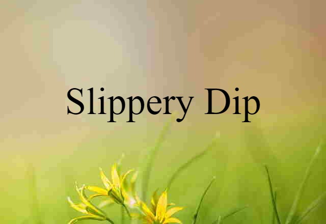 Slippery Dip (noun) Definition, Meaning & Examples