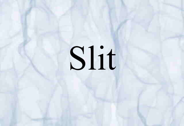 Slit (noun) Definition, Meaning & Examples