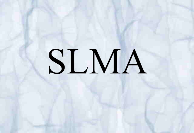 SLMA (noun) Definition, Meaning & Examples