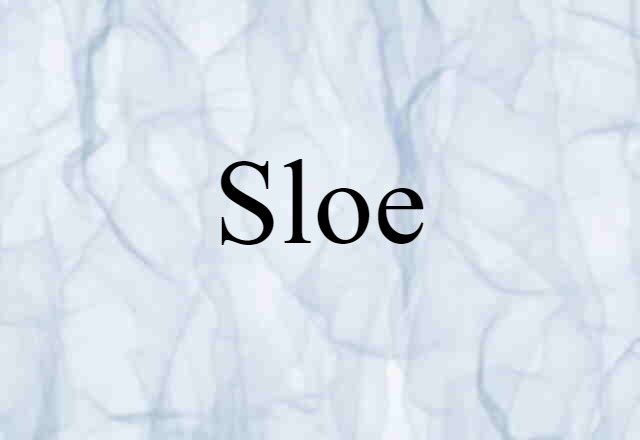 Sloe (noun) Definition, Meaning & Examples