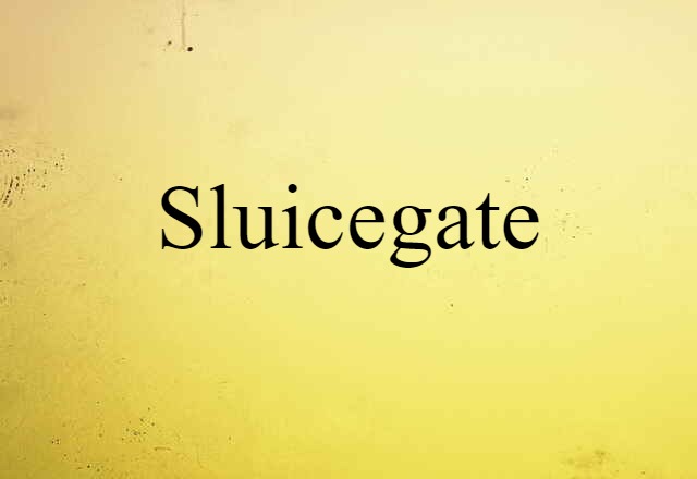 Sluicegate (noun) Definition, Meaning & Examples